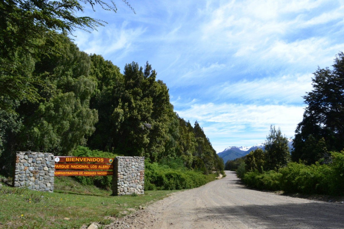 Parque Nacional Los Alerces. Foto: Argentina.gob.ar