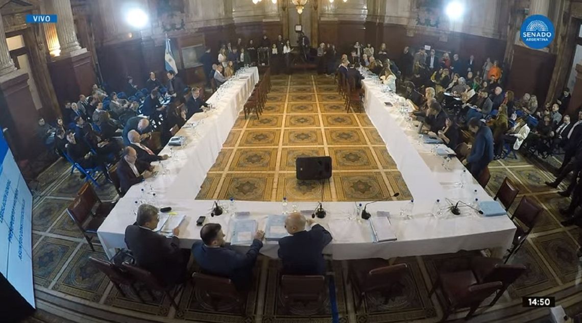 El Senado retomó este miércoles el debate de la Ley Bases y el paquete fiscal (Captura de pantalla).