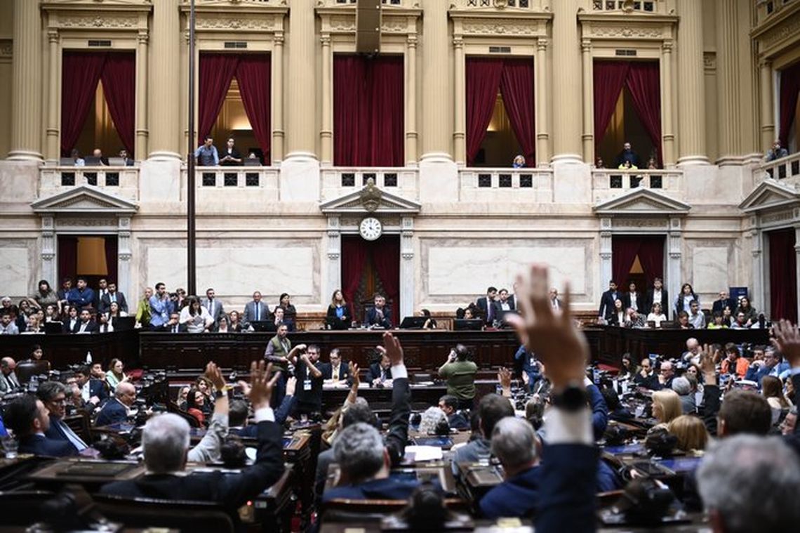 Votación en Diputados. 