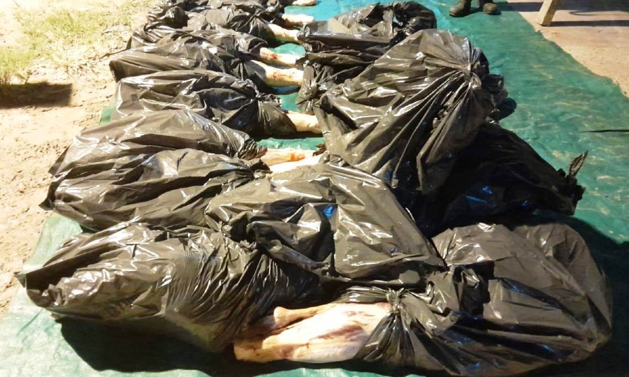Incautan más de 2.500 kilos de carne transportados de forma irregular -  Diario La Mañana