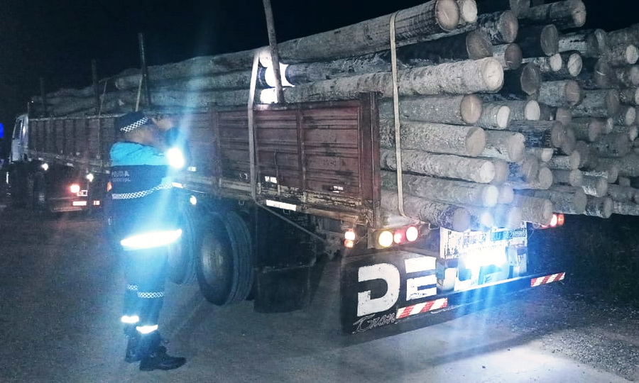 La Policía secuestró un camión con 28.000 kilos de rollos de “palma viva” -  Diario La Mañana