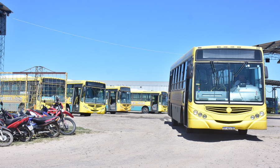 Trasladan los 30 colectivos que Crucero del Sur vendió para pagar sueldos e  indemnizaciones - Diario La Mañana