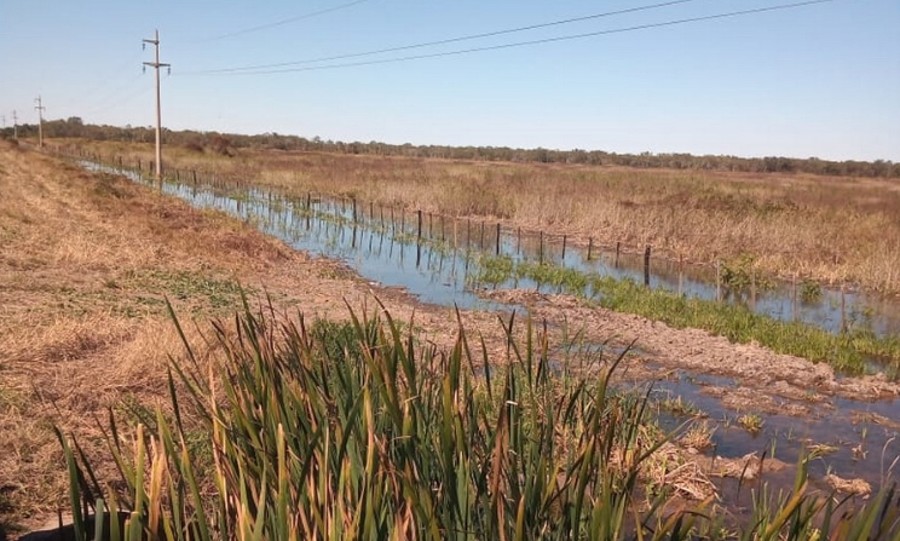 Denunciaron a productor de Fontana por “servirse indiscriminadamente” del  agua de un canal para sus campos - Diario La Mañana