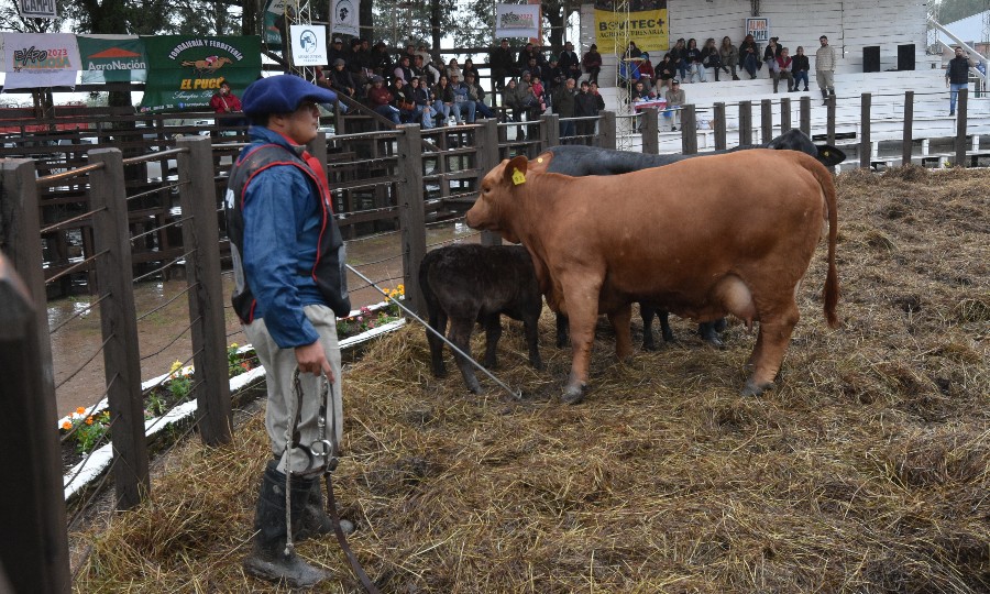 Están en marcha los preparativos para la nueva edición de la Expo Rural  Formosa 2024 - Diario La Mañana