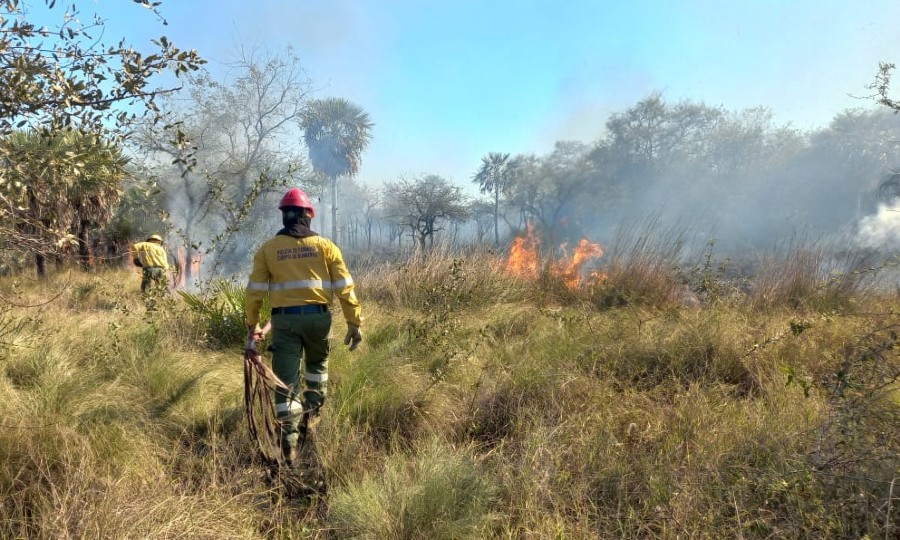 El Cuerpo de Bomberos extinguió un incendio de pastizal y campo - Diario La  Mañana