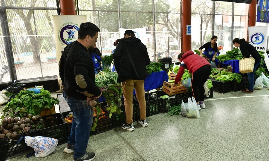 Las familias siguen eligiendo las ferias PAIPPA para realizar sus compras  de frutas y verduras - Diario La Mañana