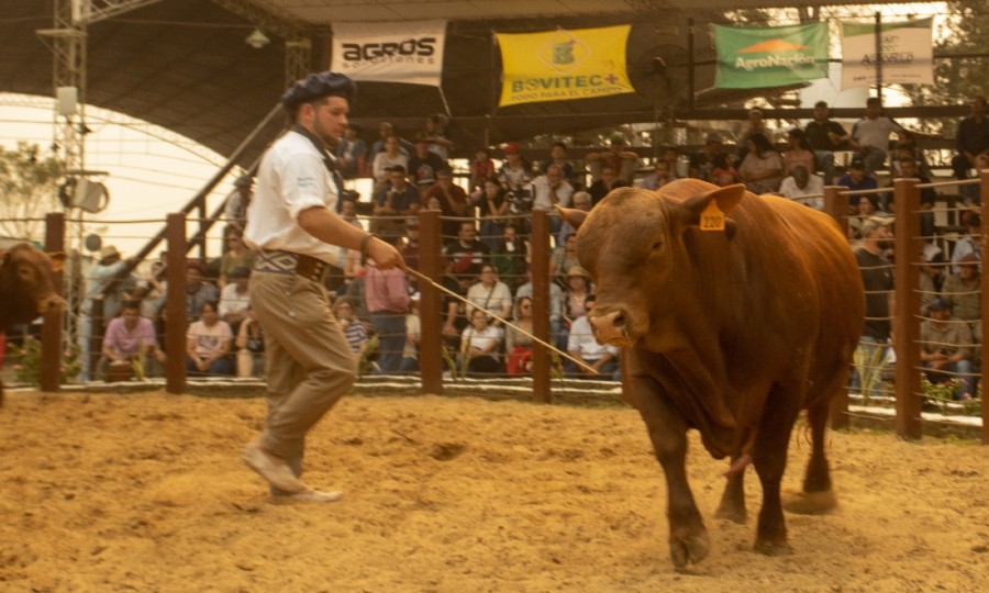 La Sociedad Rural pidió al Gobierno declarar “zona de desastre” a regiones  productivas de la provincia - Diario La Mañana