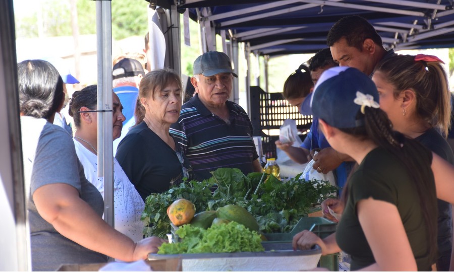 El Programa Soberanía Alimentaria se traslada este miércoles al barrio 20 de Julio - Diario La Mañana