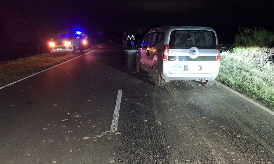 Una familia salvó su vida de milagro al chocar a una vaca con su automóvil  en la ruta provincial 1 - Diario La Mañana