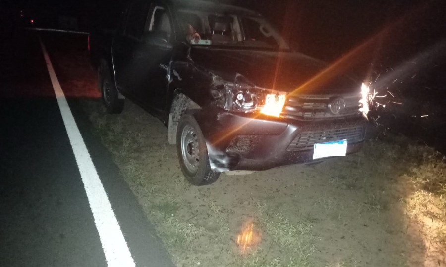 Una camioneta chocó a un caballo en la ruta nacional 81 - Diario La Mañana