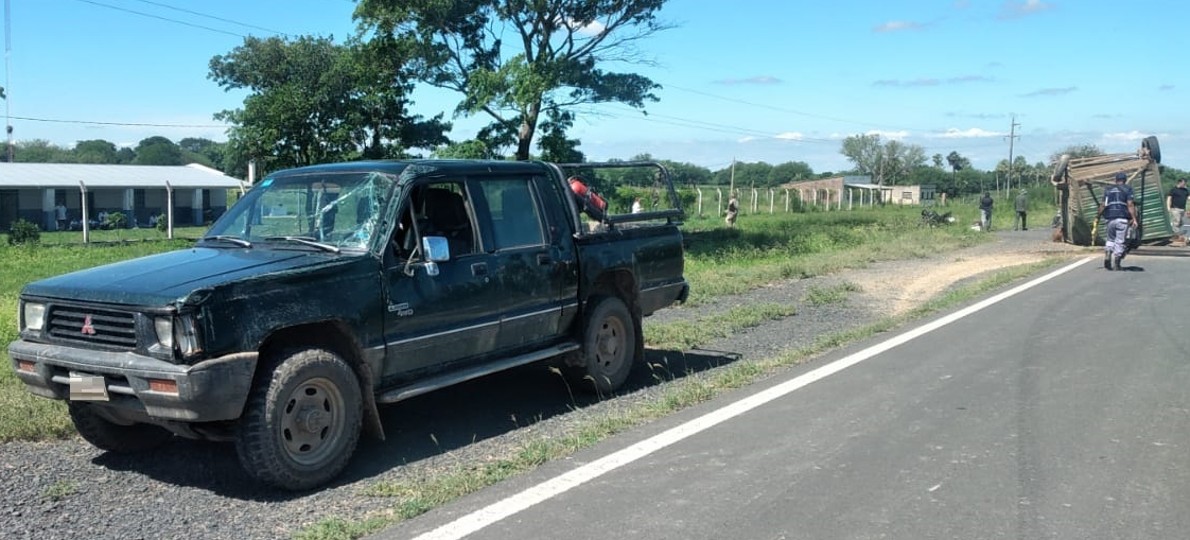 Una camioneta despistó mientras trasladaba animales - Diario La Mañana